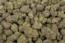 Tropicana Gelato
