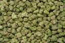 Jokerz Candy Indoor Smalls