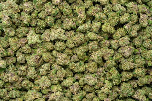 [BPFLTASJKC] Jokerz Candy Indoor Smalls