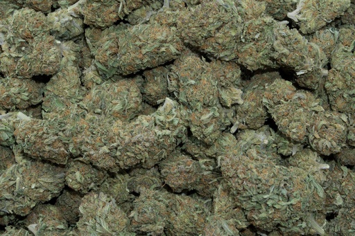 [BPFLCBLGDF] Godfather (CBD)
