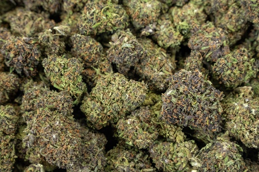 [23CCCBSPPP] Pink Panther (CBD)