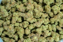 Gummiez Indoor