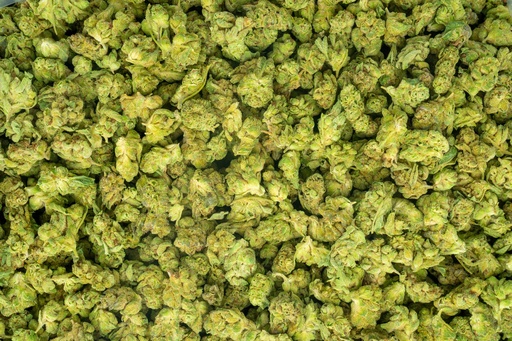 [BPFLTASGG4] Gorilla Glue #4 Smalls