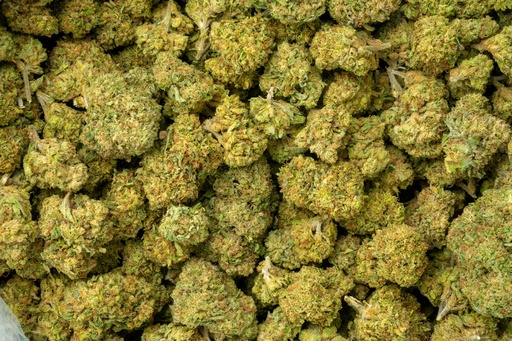 [BPFLTALGLB] Gorilla Butter