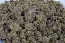 Night Queen Indoor Smalls