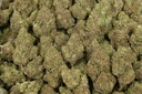 Candy Glue