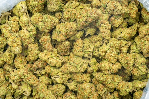 [BPFLTALSPC] Sour Patch Candy