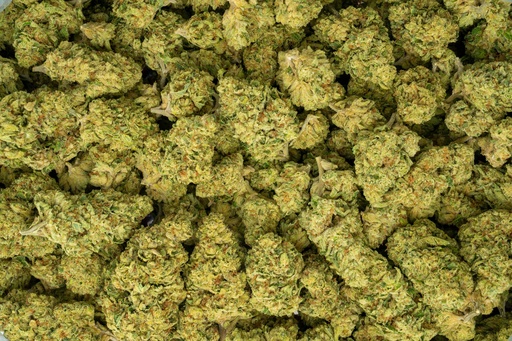 [BPFLTALDGT] Dolce Gelato
