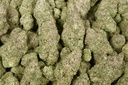 Pineapple Dog Shit Indoor
