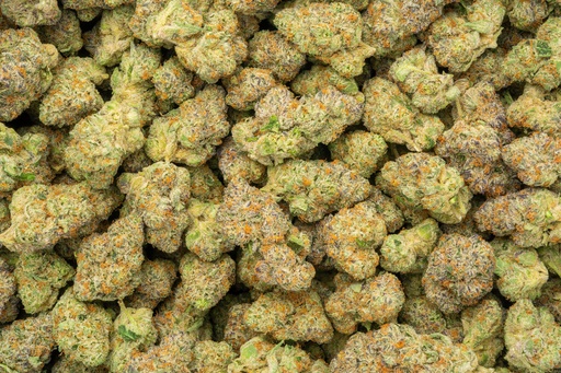 [BPFLTAIAPS] Apple Sherbet Indoor