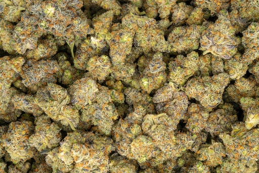 [BPFLTAIFWK] Facewreck Indoor