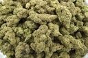 Purple Champagne Indoor