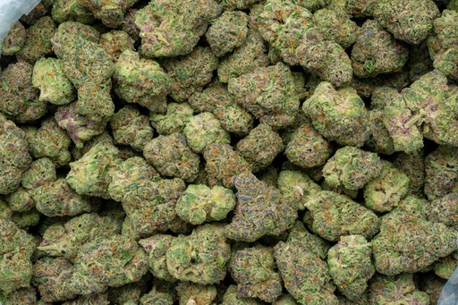 [BPFLTAISDG] Stardawg Guava Indoor