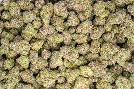 [BPFLTAISDG] Stardawg Guava Indoor
