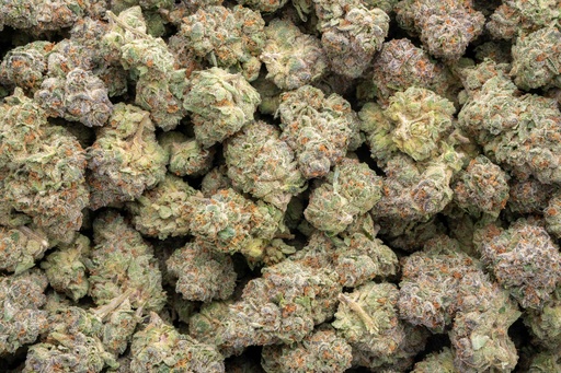 [BPFLTAISDG] Stardawg Guava Indoor