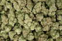 Tasty Wave Indoor