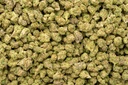 Candy Glue Smalls