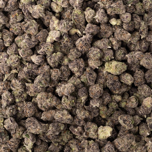 [BPFLTASZOR] Zoreos Indoor Smalls