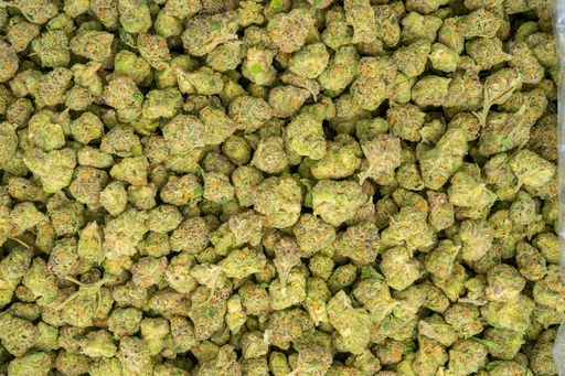 [BPFLTASFRZ] Forbidden Runtz Indoor Smalls