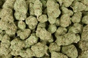 Cookies & Cream Indoor