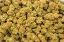Sour Kush Breath