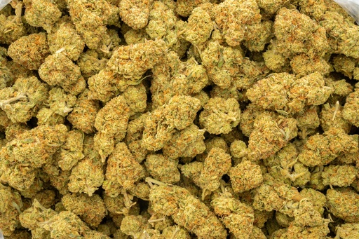 [BPFLTALSKB] Sour Kush Breath