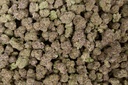 Zoreos Indoor Mediums