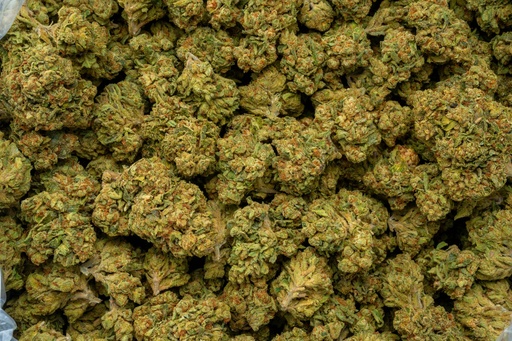 [BPFLTALCOG] Cinderella OG 