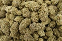 Habibi Indoor (CBD)