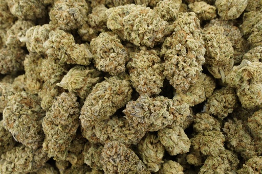 [BPFLCBIHBI] Habibi Indoor (CBD)