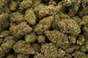 Abuela's Cookies Indoor (CBD) 
