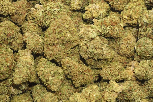 [BPFLCBLROG] Royal OG (CBD)