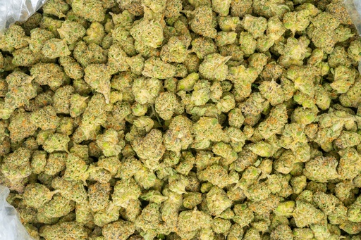 [BPFLTAMGLF] Gelato Float Indoor Mediums