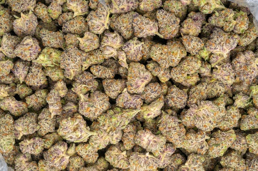 [BPFLTAMWTF] White Truffle Indoor Mediums