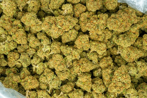 [BPFLTALPUK] Pure Kush