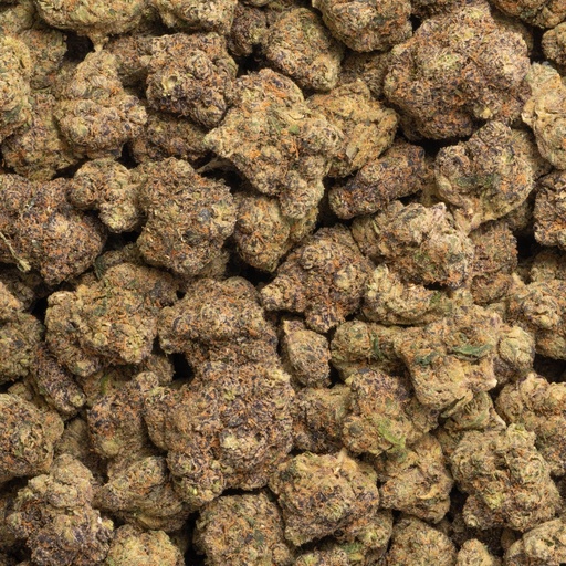 [BPFLTAIBKD] Black Domina Indoor