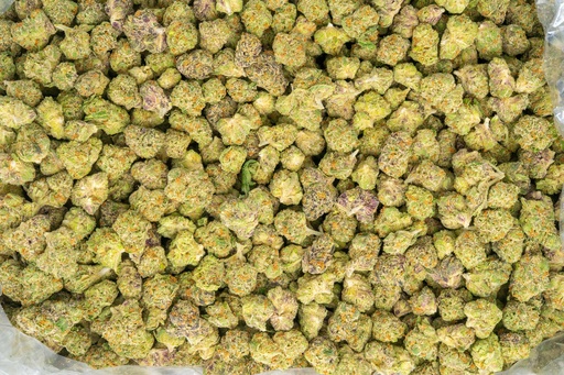 [BPFLTASCDL] Candyland Indoor Smalls