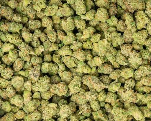 [BPFLTASGLF] Gelato Float Indoor Smalls