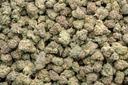 Stardawg Guava Indoor Mediums