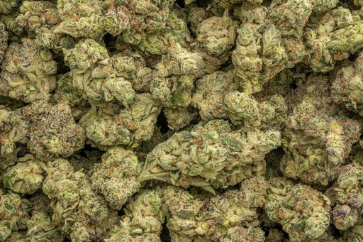 [BPFLTAILAP] LA Pop Rocks Indoor