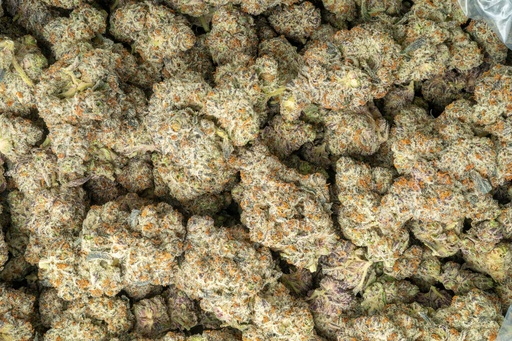 [BPFLTAIWTF] White Truffle Indoor