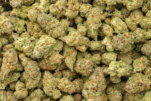 [BPFLTAIGSM] Gas Mints Indoor