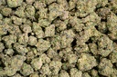 La Bomba Indoor