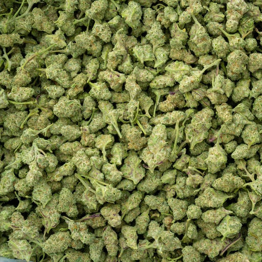 [BPFLTASDIN] Dante's Inferno Indoor Smalls