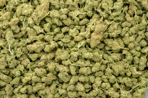 [BPFLTASDIN] Dante's Inferno Indoor Smalls