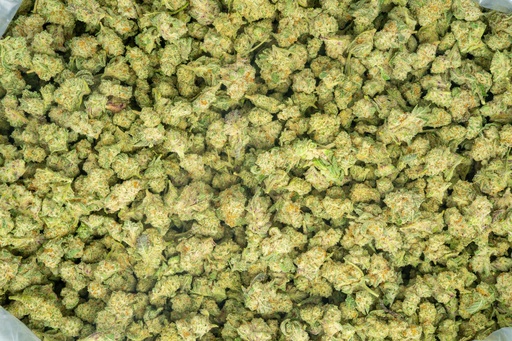 [BPFLTASDIN] Dante's Inferno Indoor Smalls