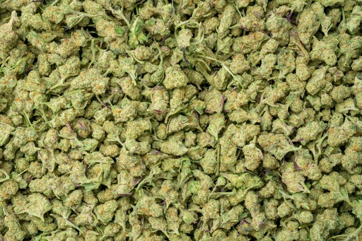 [BPFLTASDIN] Dante's Inferno Indoor Smalls