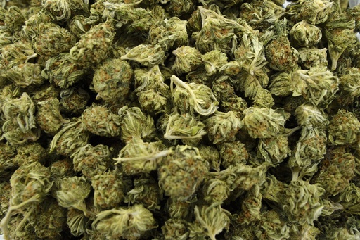 [BPFLCBSBUB] Bubba Smalls (CBD)