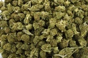 Lemon Octane Smalls (CBD)