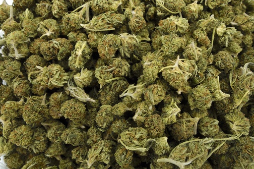 [BPFLCBSLEM] Lemon Octane Smalls (CBD)